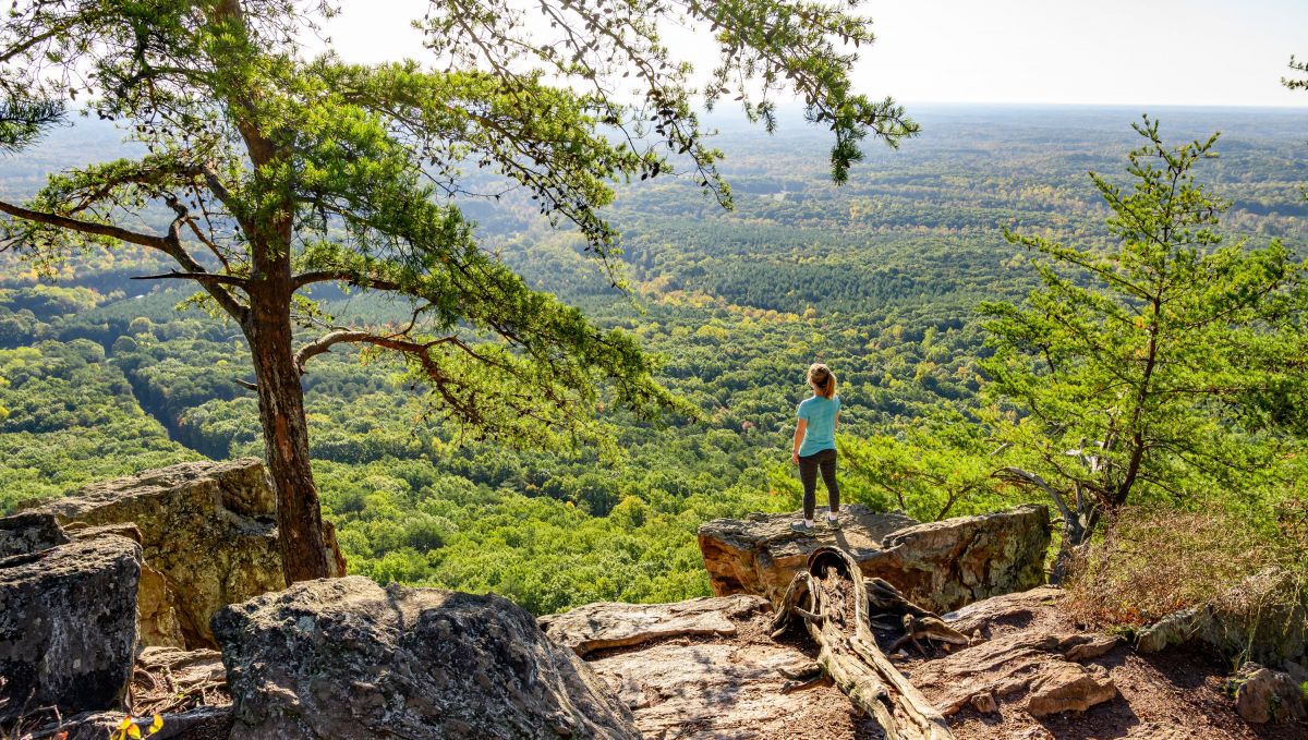 Day Trips From Charlotte Kannapolis Crowders Mountain VisitNC Com   Crowders Mountain View From Summit Crop(1,0.850,0,0.009,r4).d41815df 